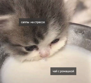 Тестовая подборка