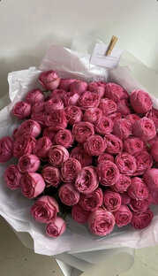 Прекрасное 🌹🌷🪻