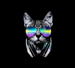 ЯR и RR подкаст