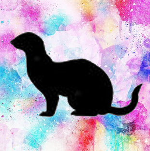 Домашние питомцы.