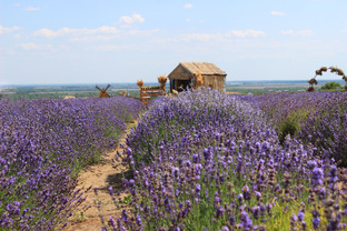  По пути на море (трасса м4 Дон)