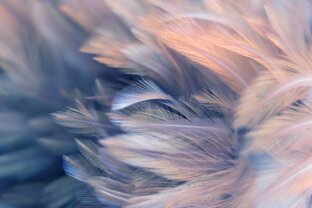 Моменты из моей жизни