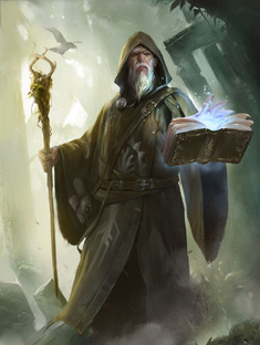 Путеводитель по лесу