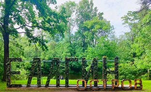 Елагин остров