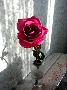 обзоры, отзывы, распаковки