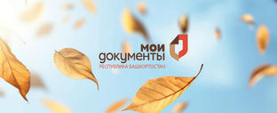 Субсидия на покупку, установку газоиспользующего оборудования и проведение работ