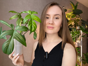 Обзоры растений🌱