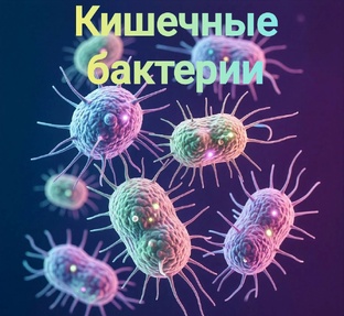 Кишечные бактерии