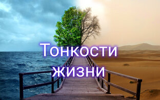 Тонкости жизни. Психология.