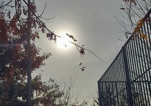 Полезные продукты и вещи