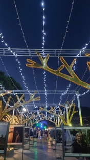 🇷🇺 Лучшее из Крыма