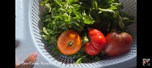 Рецепты и фермерская продукция