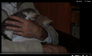 Виктор Девицын