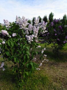 Прогулки по Москве 
