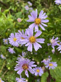 Детский сад 🪴 