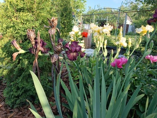 Садовый декор. Домашний дизайн.