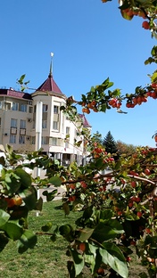 Ставрополь 
