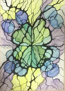 Мои метаморфозы.