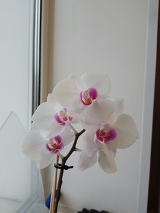 Встречи на жизненных перекрёстках