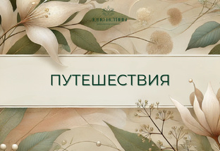Путешествия