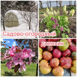 Садово-огородный дневник