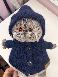 Вяжем коту Басику 