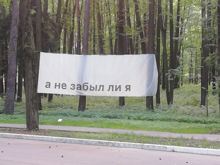 Рассказы Елены Дешко