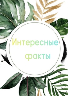 Лента удивительного👀