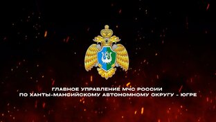 Государственный пожарный надзор