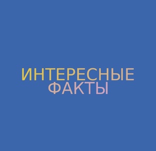 Интересные факты 