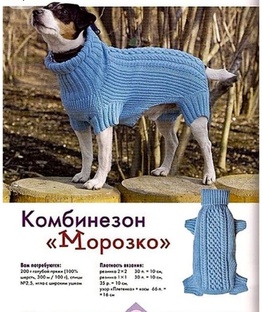 Шьем, вяжем собакам и кошкам. 