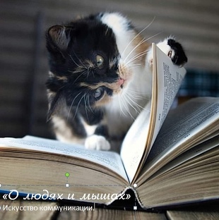 Окололитература