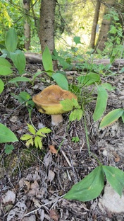 Строительство базы отдыха