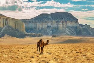 Про жизнь в Казахстане