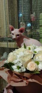 Как всё начиналось