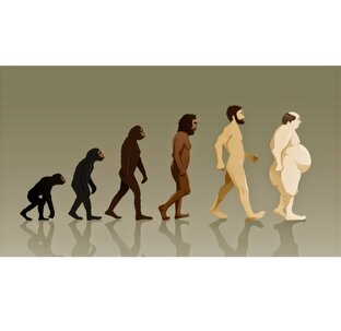 Эволюция человека 