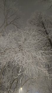 Гармония в еде