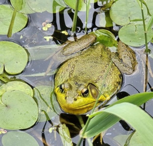 По городам и весям