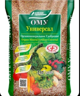 Кушать подано