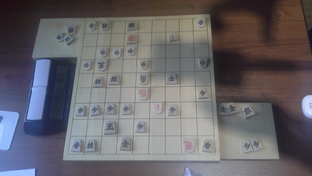 Турнирные сёги