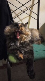 Реальная жизнь, день за днем