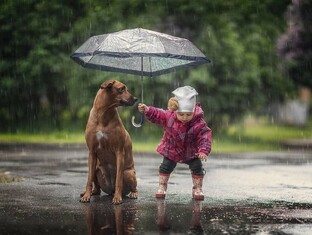 Этика, эстетика, политика и другие философские вопросы