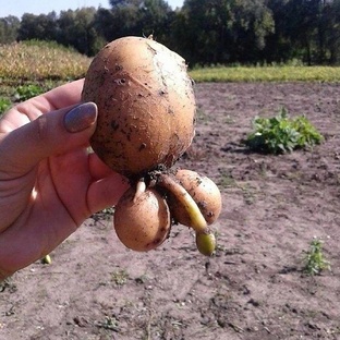 Хиты просмотров