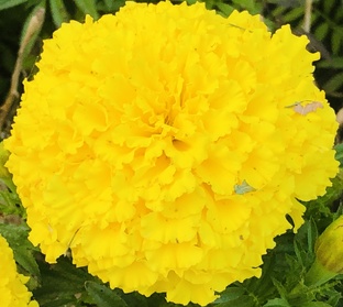 Истории роддома