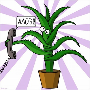 Цветочный юмор