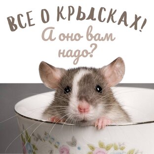 Все о крысках. А оно вам надо?
