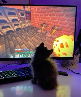 вертикалки