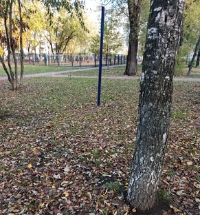 Я БРОСИЛ КУРИТЬ