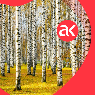 Отправляемся по России!