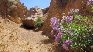 Путешествия